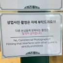 코끼리베이글성수 | 성수 카페 | 화덕에 구운 베이글 맛집 코끼리 베이글 성수점 내 돈 내산 후기