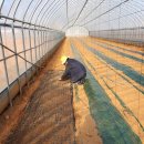 골드농장 이미지