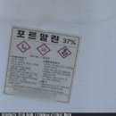 구일초등학교 뉴스웍스