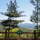 월성자동차정비 이미지