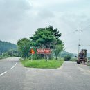 영풍 병산리 갈참나무 | 영주의 천연기념물, 영풍 병산리 갈참나무