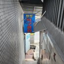 한양탁구