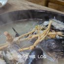 미가꼬끼요 이미지