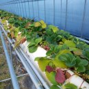 바람뜰농장 이미지