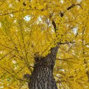 범어사지하철역 1 | 부산 단풍 명소 전국유명사찰 나들이 가기좋은 범어사