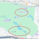 파란나라유치원 | 신주쿠 교엔 벚꽃 포인트 및 후기 팁 정보