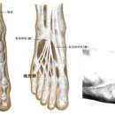 42. 지오회 (地五會) 이미지