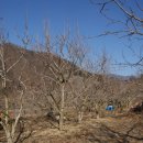 김동규농장 이미지