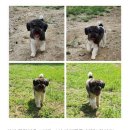 두들랜드 이미지