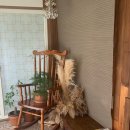 소롱코지 이미지