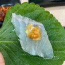 강창호물회(대어횟집) 이미지