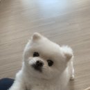 봉구네횟집