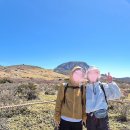 대륜동 법환포구 | 5월 제주도 4박5일 여행 후기 (part2) (이재모피자,커피템플, 아침미소목장, 법환포구, 브리지스디오...