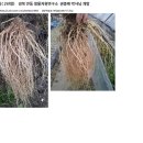 안동수퍼 - 중구 중앙대로 463 | 안동수퍼