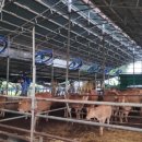 강화축산 이미지