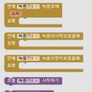 폰팔레트