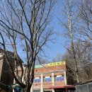 샛터식당 | 🌿 샛터농원 방문 후기 (남양주 맛집 / 가족 외식 추천) 내돈내산 후기