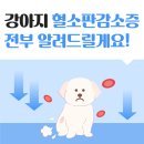 탄현 동물병원 이미지