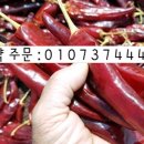 을해농장 네이버블로그