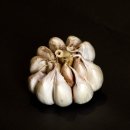 신진식품 이미지