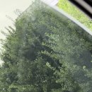 어슬렁 어슬렁 콘서트 여름: 유다빈밴드 이미지