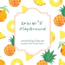 단디메디 이미지