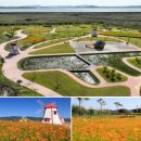 예당습지생태공원 이미지