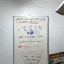 간지수족관 | 베타 물고기 첫입양. 강남 수족관 추천. 간지 수족관 후기.