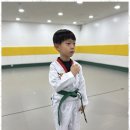 힘찬 태권도 이미지