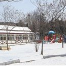 평화유치원 이미지