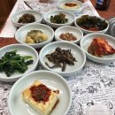 하루방가든 티스토리