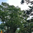 국립현대미술관(과천관) | 국립현대미술관 과천 상설전 &lt;한국 근현대미술 II&gt;에 다녀왔어요 전시후기