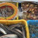 삼천포용궁수산시장 | 삼천포용궁수산시장 가격 후기 (전어가 맛있어요)