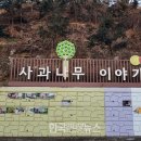 이야기가 있는 사과나무 마을 이미지