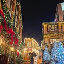 여수호텔 라테라스 앤 빌라 | 여수놀거리-크리스마스 트리 왕국 라테라스 윈터빌리지 솔직후기