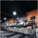 웰핏 | 울산 양정 재활피티 헬스장, 웰핏 양정점 솔직 후기