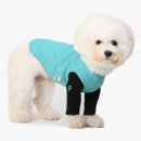 민트파파 이미지