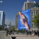 정상 포토존 이미지
