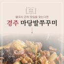 마당발쭈꾸미 이미지