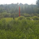 여주-0118 이미지