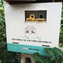 강씨농장 이미지