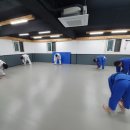 용인대 챔피언 유도관 이미지