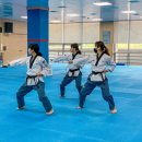 국가대표 한국체대 태권도 이미지