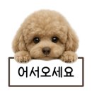로니크(Ronik)