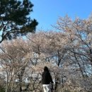 투다리(계산삼거리) 이미지