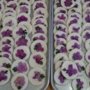 진달래유치원 이미지