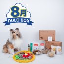 우리집 댕댕이 이미지