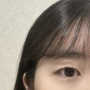 평촌본프라자 | 평촌역 속눈썹펌 ❛ 유인뷰티 ❜ 무쌍 뷰러펌 속눈썹펌 받아본 후기!