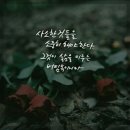 인사~이미지 글,설날 아침인사~ 이미지