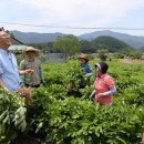 이대원농장 이미지